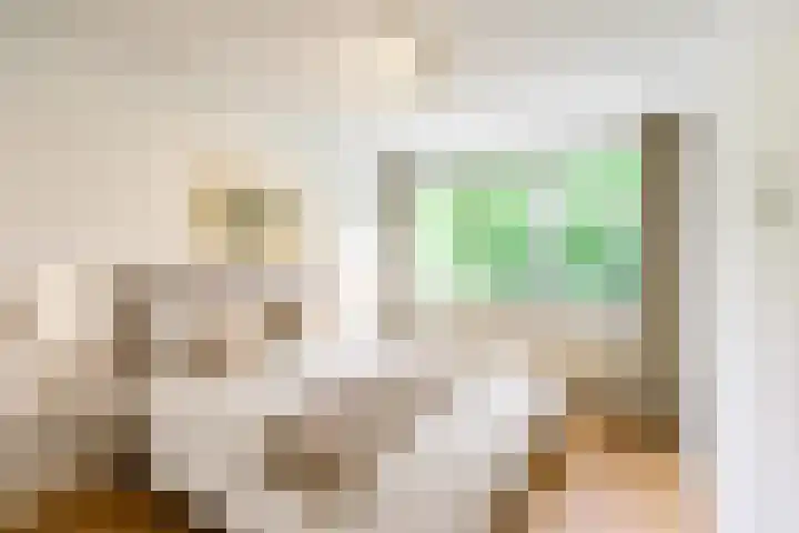 Aart van der Leeuwlaan 16 Delft thumbnail 24