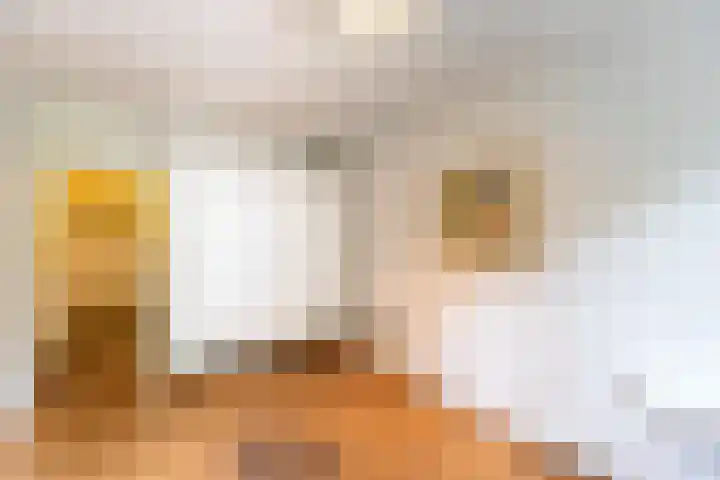Aart van der Leeuwlaan 16 Delft thumbnail 25