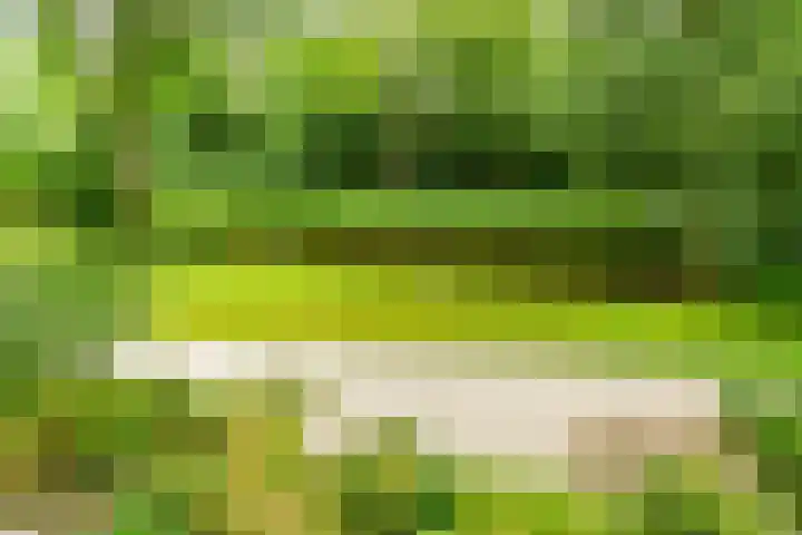 Aart van der Leeuwlaan 16 Delft thumbnail 34