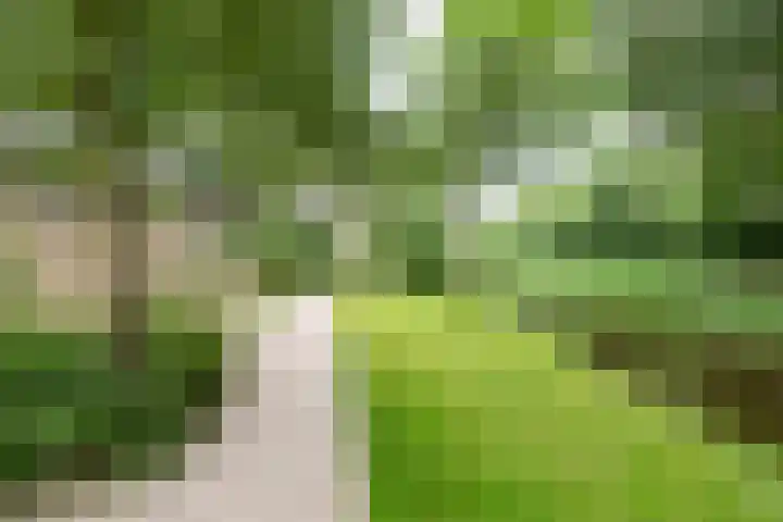 Aart van der Leeuwlaan 16 Delft thumbnail 35