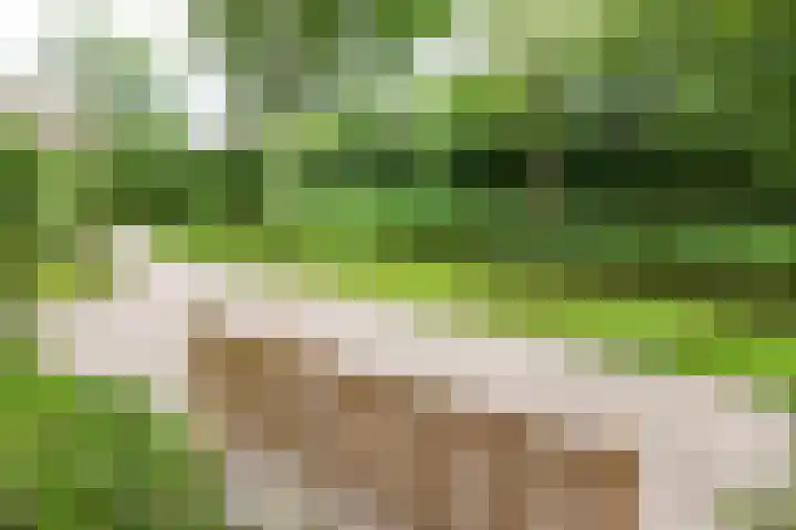 Aart van der Leeuwlaan 16 Delft thumbnail 36