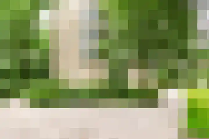 Aart van der Leeuwlaan 16 Delft thumbnail 37