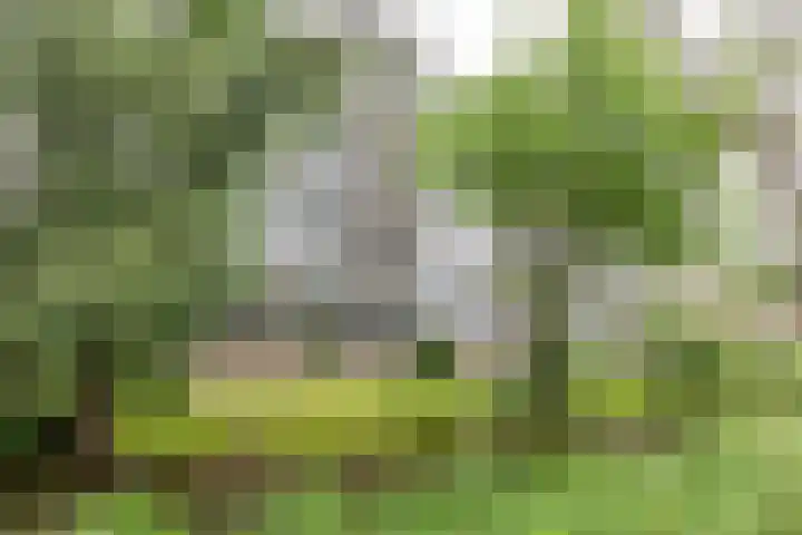 Aart van der Leeuwlaan 16 Delft thumbnail 38
