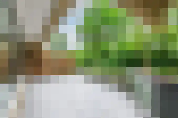Aart van der Leeuwlaan 16 Delft thumbnail 44
