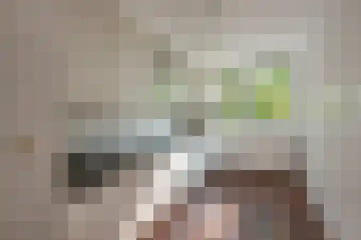 Aart van der Leeuwlaan 18 Delft thumbnail 12
