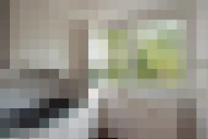 Aart van der Leeuwlaan 18 Delft thumbnail 13