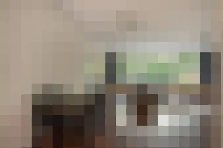 Aart van der Leeuwlaan 18 Delft thumbnail 15