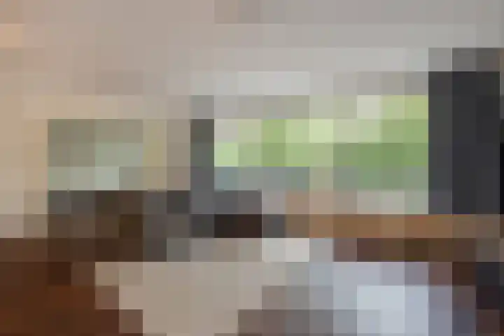 Aart van der Leeuwlaan 18 Delft thumbnail 19