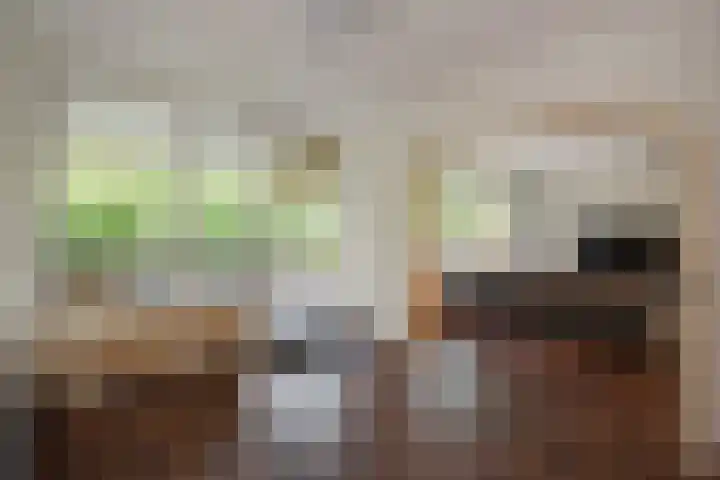 Aart van der Leeuwlaan 18 Delft thumbnail 21