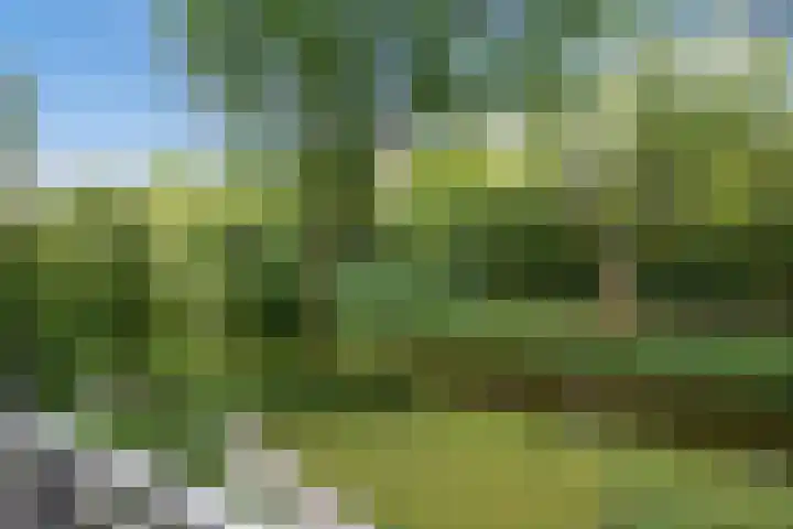 Aart van der Leeuwlaan 18 Delft thumbnail 26