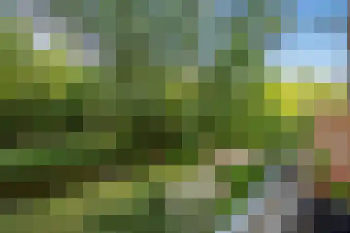 Aart van der Leeuwlaan 18 Delft thumbnail 27