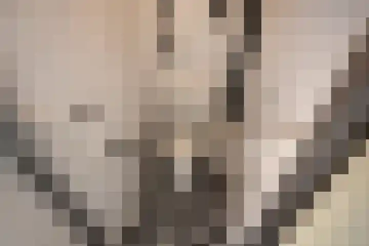 Aart van der Leeuwlaan 18 Delft thumbnail 30
