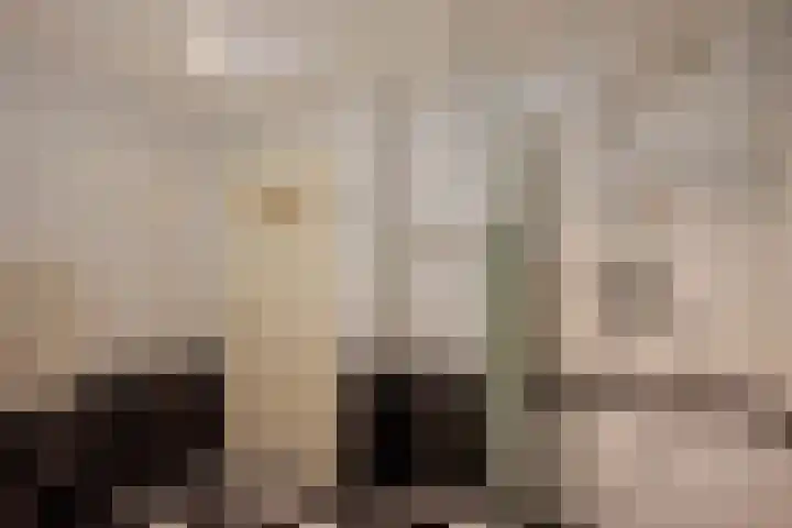 Aart van der Leeuwlaan 18 Delft thumbnail 32