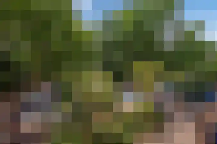 Aart van der Leeuwlaan 18 Delft thumbnail 35