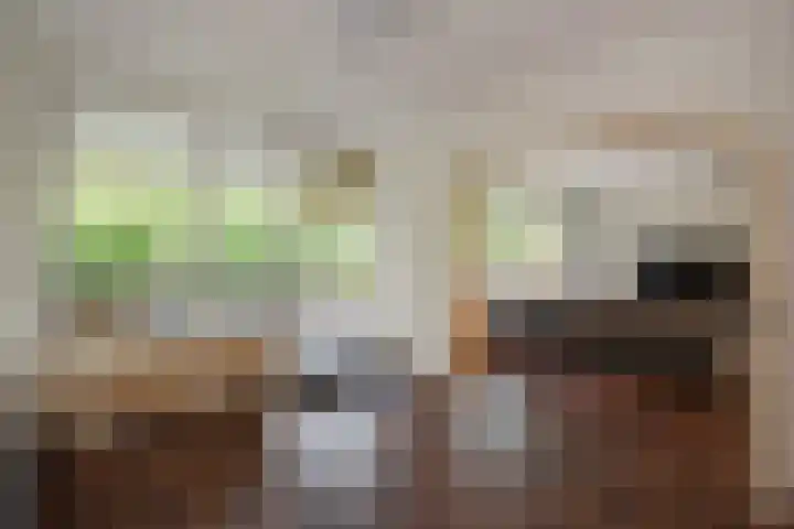 Aart van der Leeuwlaan 18 Delft thumbnail 4