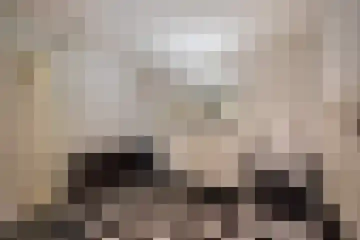 Aart van der Leeuwlaan 18 Delft thumbnail 7