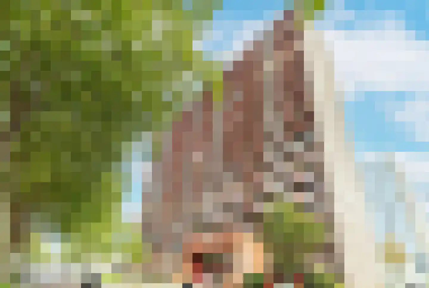 Aart van der Leeuwlaan 211 Delft thumbnail 6