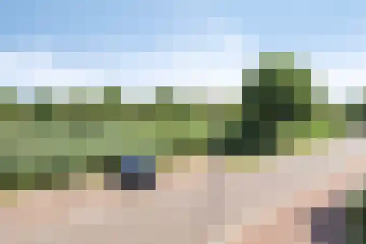 Aart van der Leeuwlaan 22 De Meern thumbnail 15