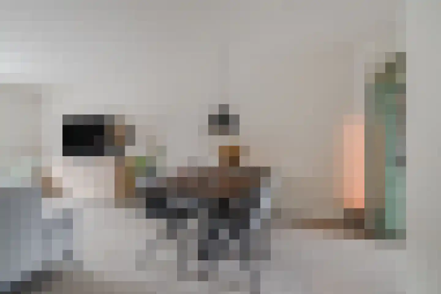 Aart van der Leeuwlaan 22 De Meern thumbnail 23