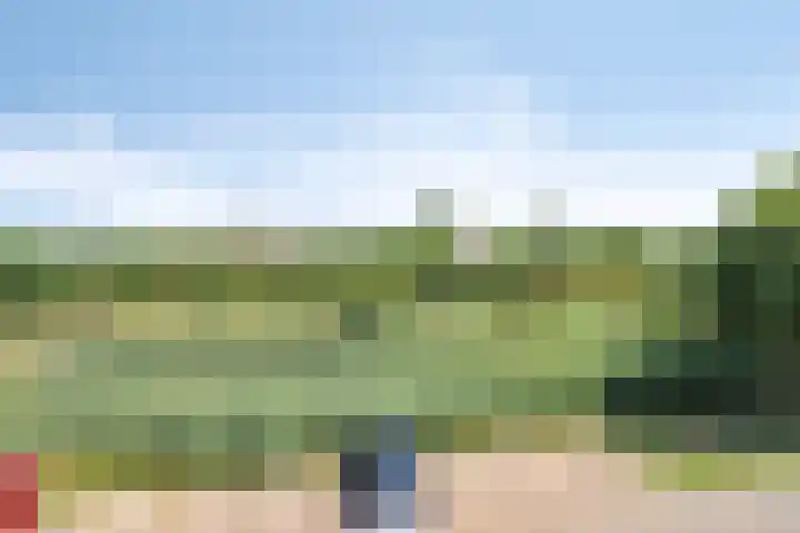 Aart van der Leeuwlaan 22 De Meern thumbnail 27