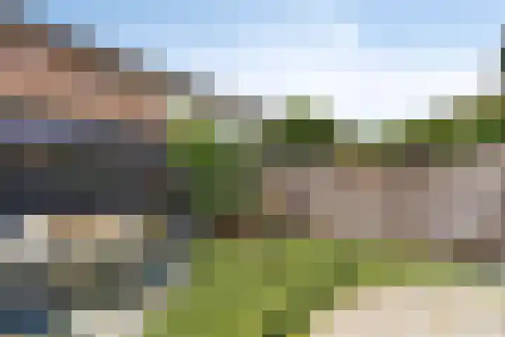 Aart van der Leeuwlaan 22 De Meern thumbnail 31