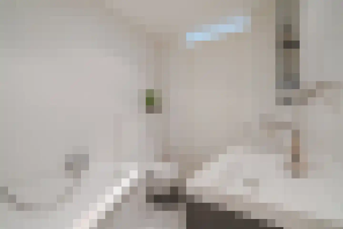Aart van der Leeuwlaan 22 De Meern thumbnail 34