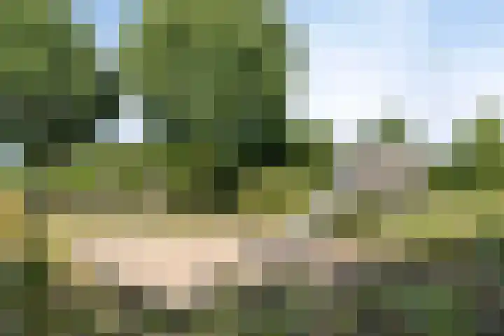 Aart van der Leeuwlaan 22 De Meern thumbnail 36