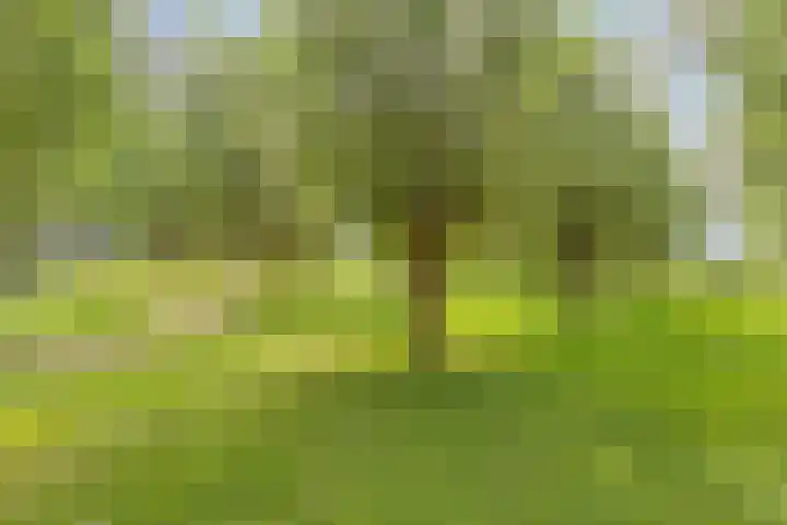 Aart van der Leeuwlaan 22 De Meern thumbnail 38