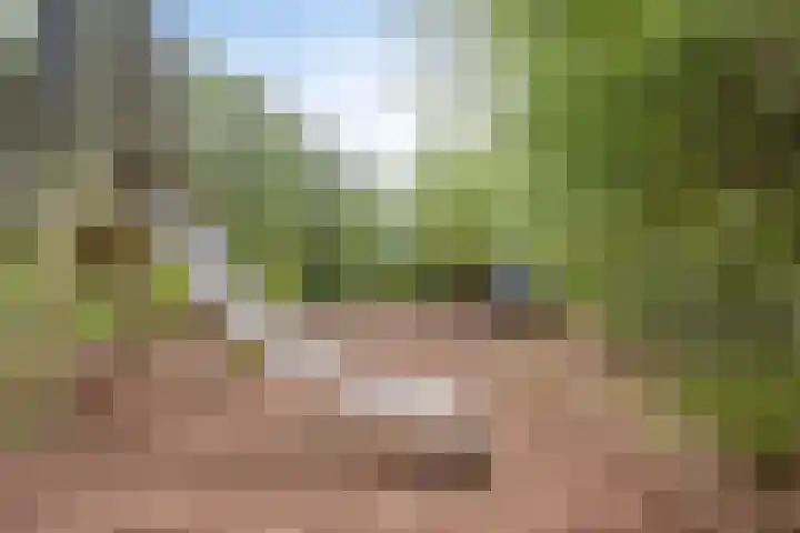 Aart van der Leeuwlaan 22 De Meern thumbnail 39