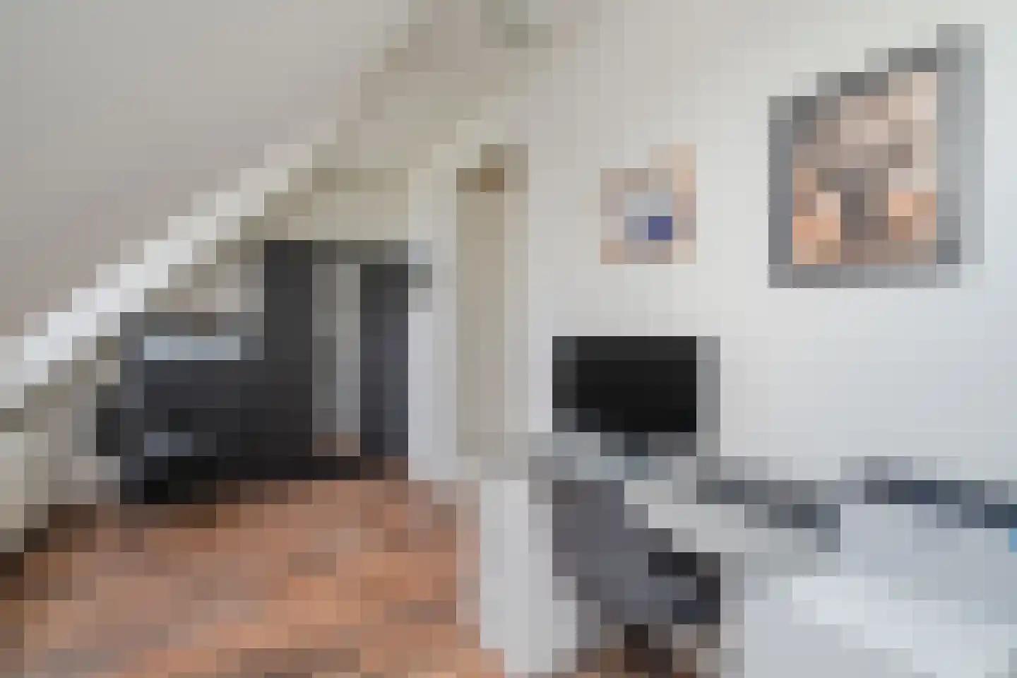 Aart van der Leeuwlaan 22 De Meern thumbnail 50