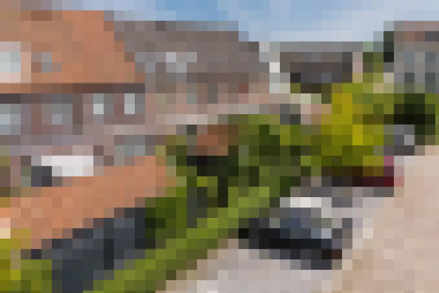 Aart van der Leeuwlaan 22 De Meern thumbnail 58