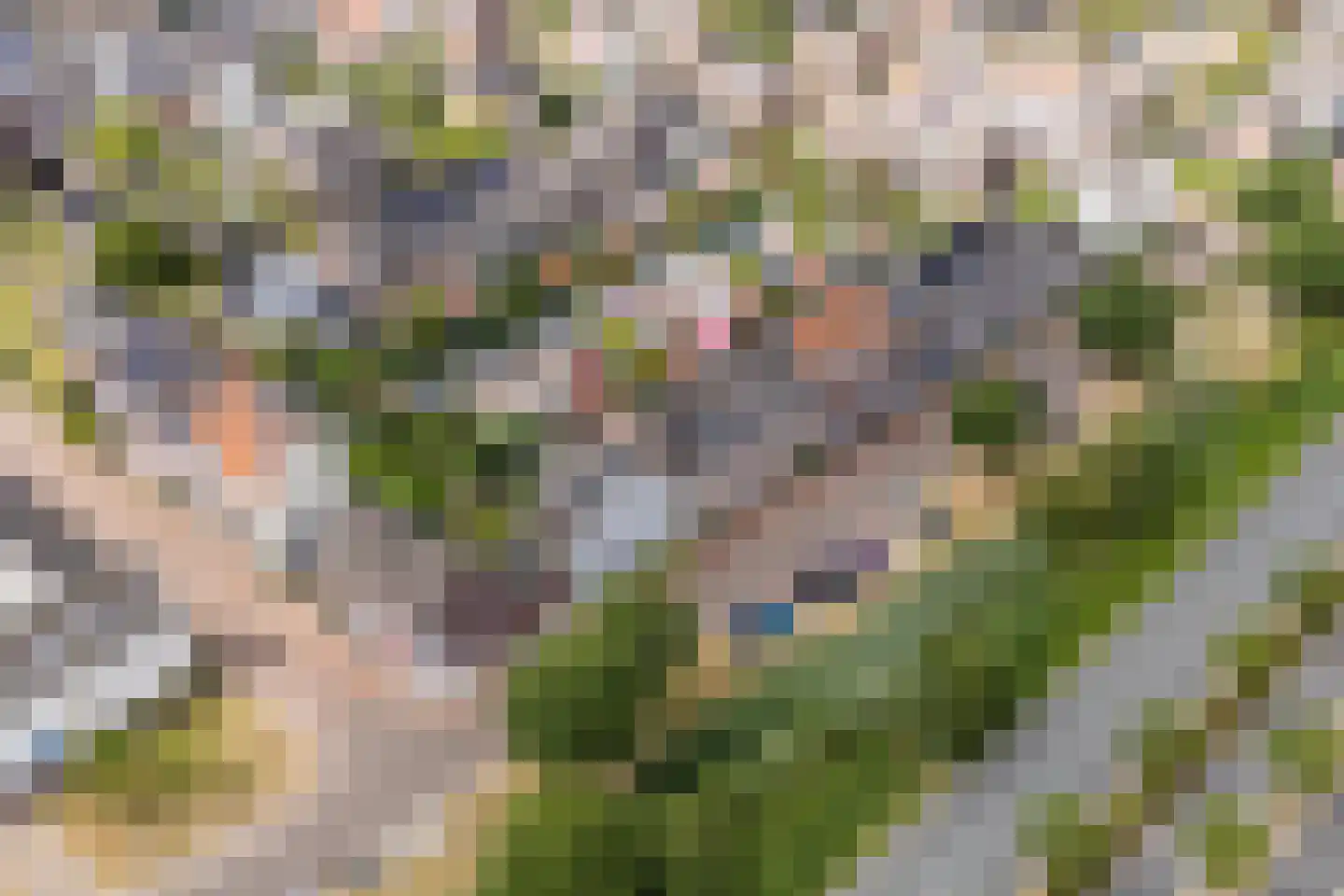 Aart van der Leeuwlaan 22 De Meern thumbnail 60