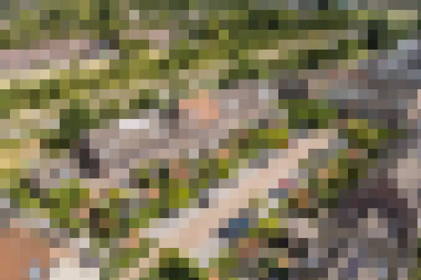 Aart van der Leeuwlaan 22 De Meern thumbnail 61