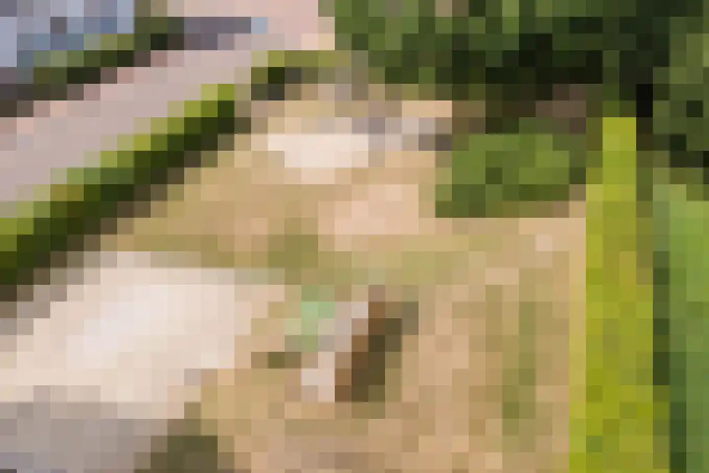 Aart van der Leeuwlaan 22 De Meern thumbnail 63