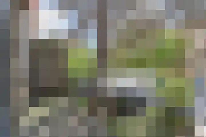 Aart van der Leeuwlaan 223 Delft thumbnail 15
