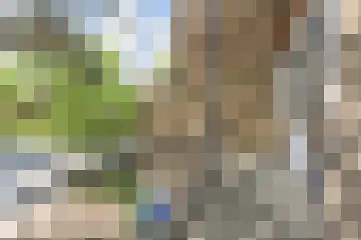 Aart van der Leeuwlaan 223 Delft thumbnail 16