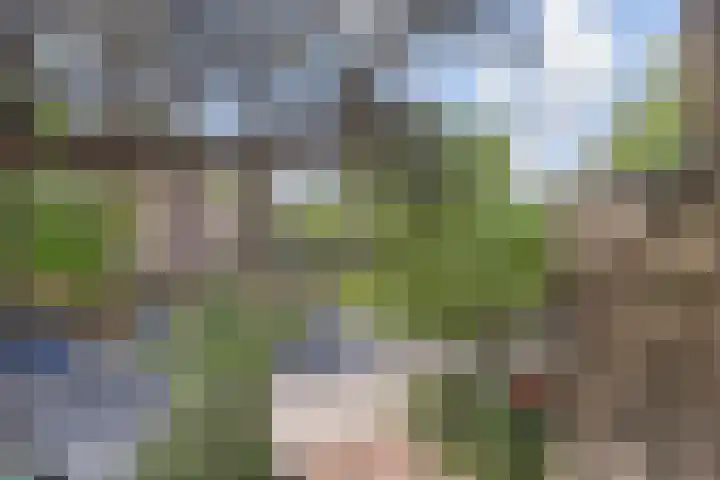 Aart van der Leeuwlaan 223 Delft thumbnail 17
