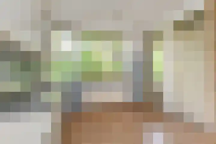 Aart van der Leeuwlaan 223 Delft thumbnail 20