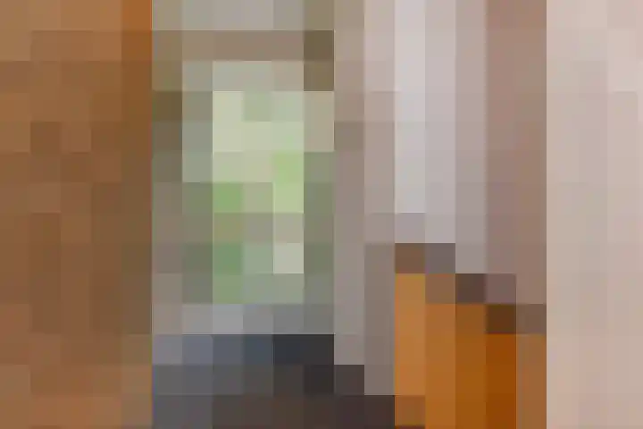 Aart van der Leeuwlaan 223 Delft thumbnail 21