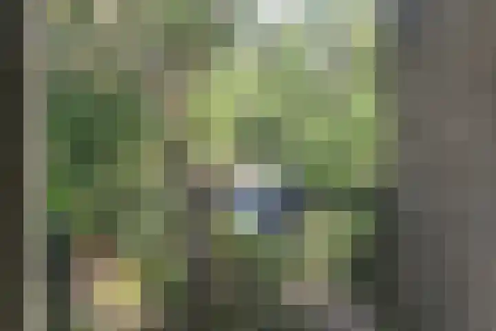 Aart van der Leeuwlaan 223 Delft thumbnail 23