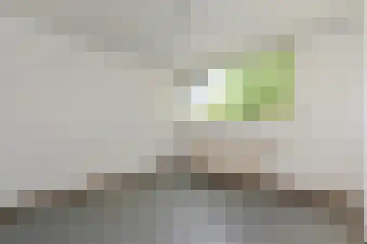 Aart van der Leeuwlaan 223 Delft thumbnail 26