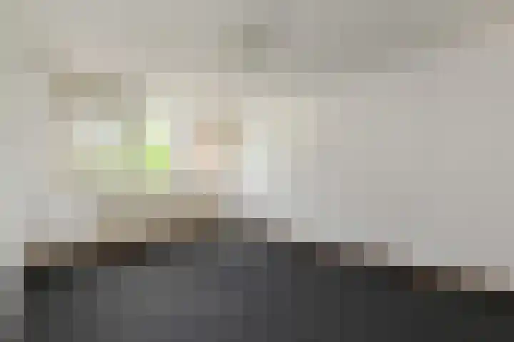 Aart van der Leeuwlaan 223 Delft thumbnail 27