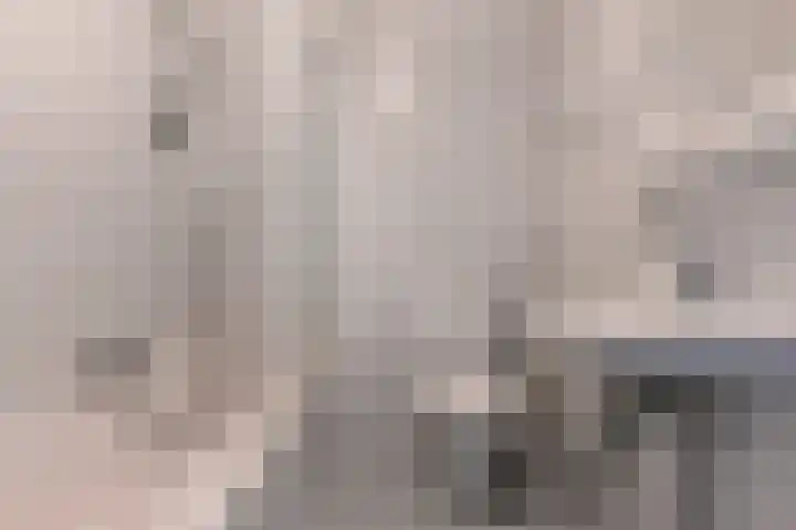 Aart van der Leeuwlaan 223 Delft thumbnail 31