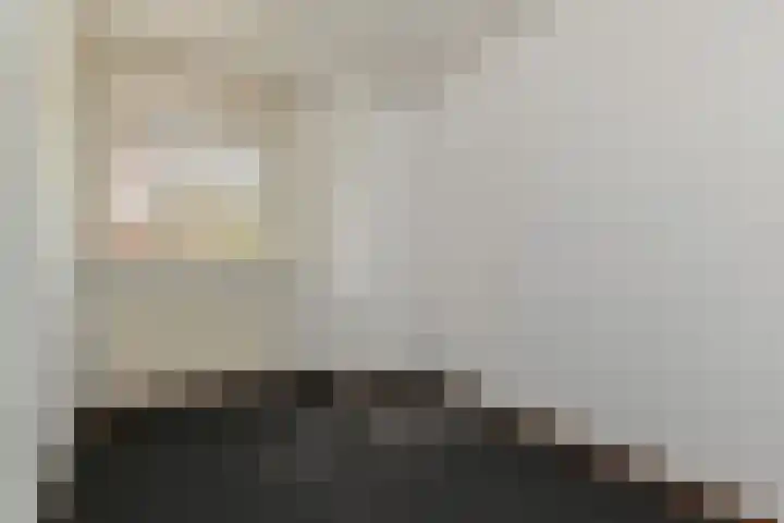 Aart van der Leeuwlaan 223 Delft thumbnail 32