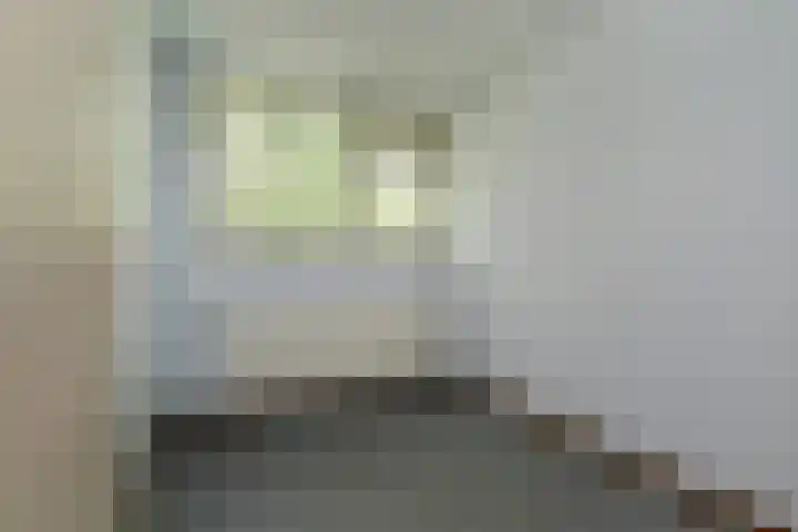 Aart van der Leeuwlaan 223 Delft thumbnail 33