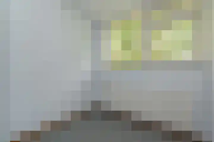 Aart van der Leeuwlaan 223 Delft thumbnail 34