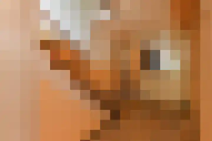 Aart van der Leeuwlaan 223 Delft thumbnail 36