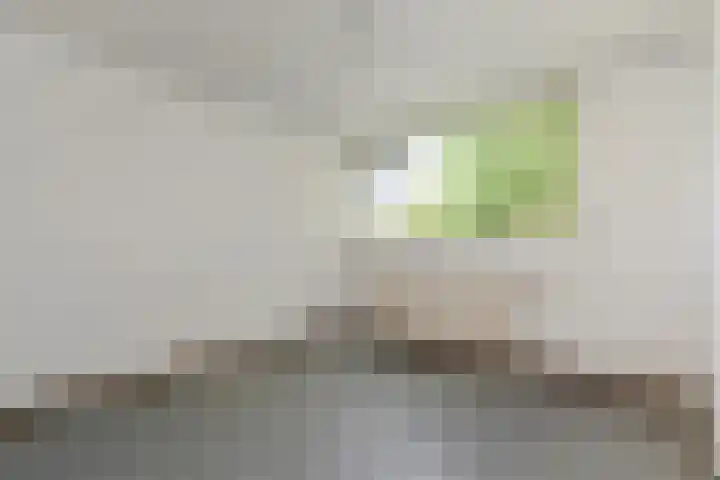 Aart van der Leeuwlaan 223 Delft thumbnail 4