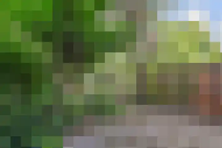 Aart van der Leeuwlaan 223 Delft thumbnail 41