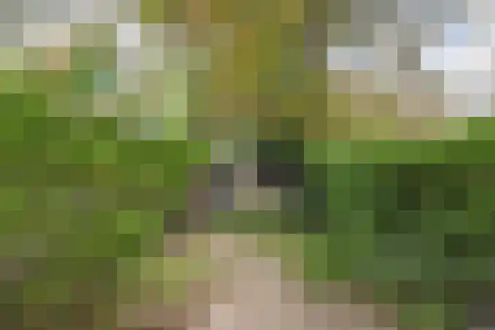 Aart van der Leeuwlaan 223 Delft thumbnail 43